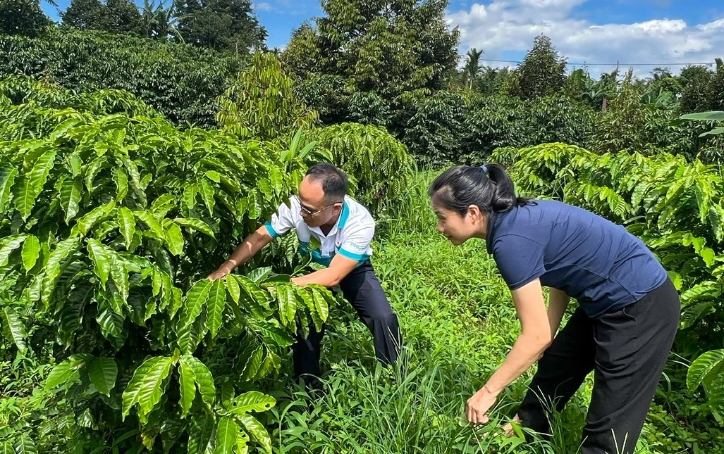 pvfcco phu my 21 nam ben bi truyen thong sang tao, gan ket va se chia hinh anh 7