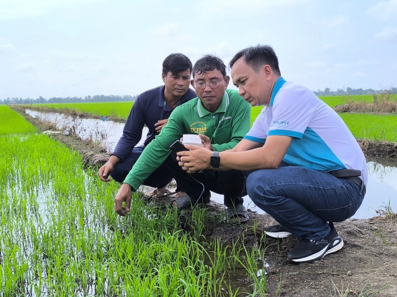 Phân bón Phú Mỹ - chìa khóa cho đất khỏe, cây xanh - ảnh 5
