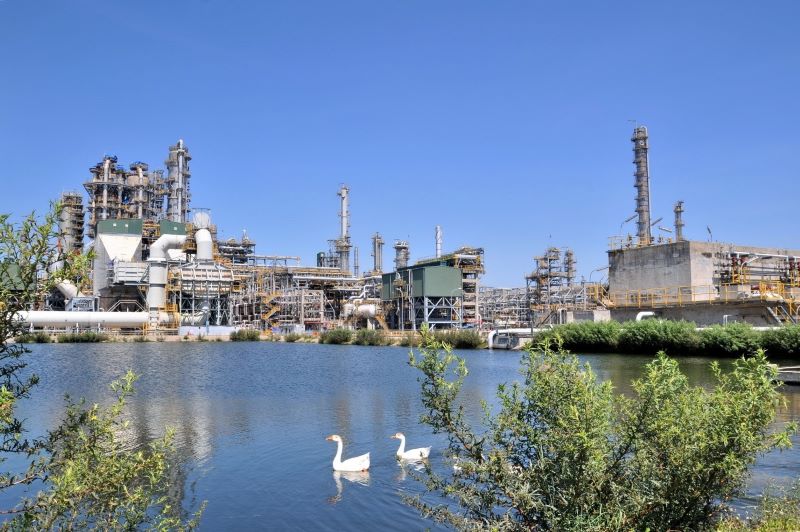 BSR chủ động vượt “bão” năm 2026 - ảnh 1