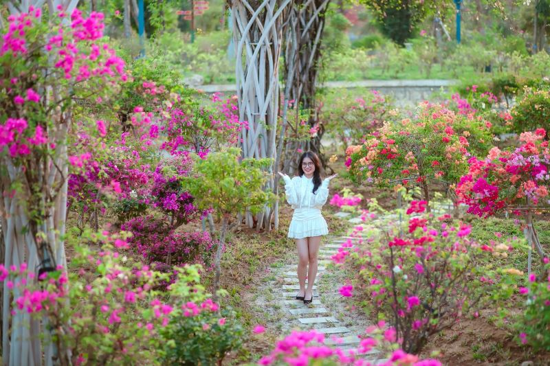 Sa Pa, Hoà Bình, Quảng Ninh là những lựa chọn hàng đầu ở miền Bắc Tết Ất Tỵ  ​ - ảnh 5