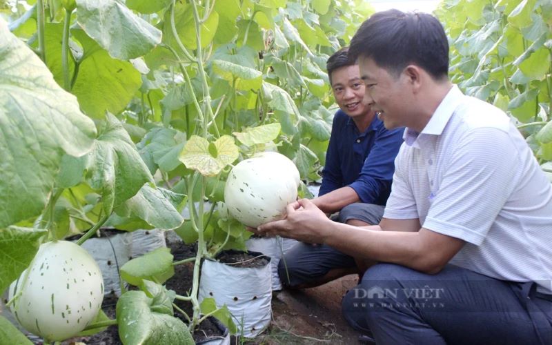Phát huy vai trò, sức sáng tạo của nông dân trong kỷ nguyên mới đất nước - ảnh 6