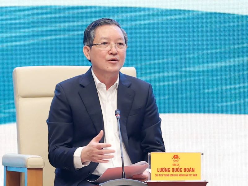 Phát huy vai trò, sức sáng tạo của nông dân trong kỷ nguyên mới đất nước - ảnh 1