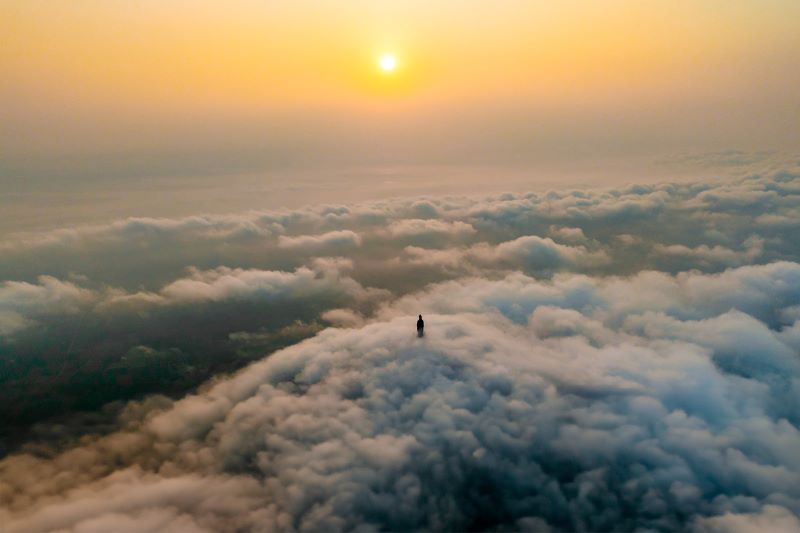 Hoa vông nem vào mùa nở rộ như “lửa đỏ” khắp núi Bà Đen - ảnh 7