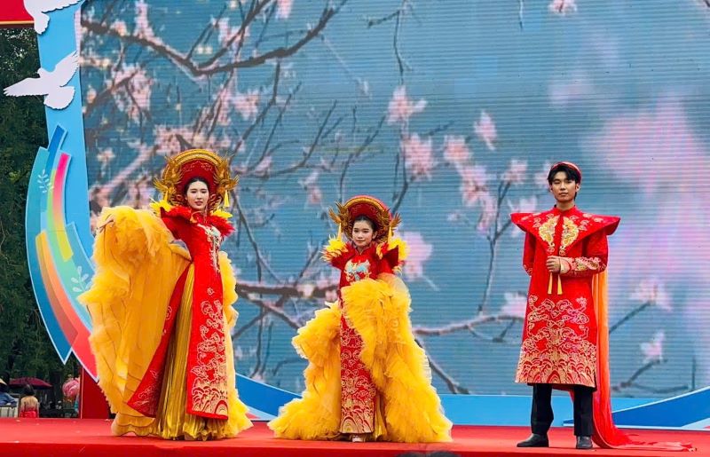 Hơn 1.000 đại biểu tham dự Giải Đi bộ Phụ nữ Thủ đô khỏe đẹp lần thứ III - ảnh 8