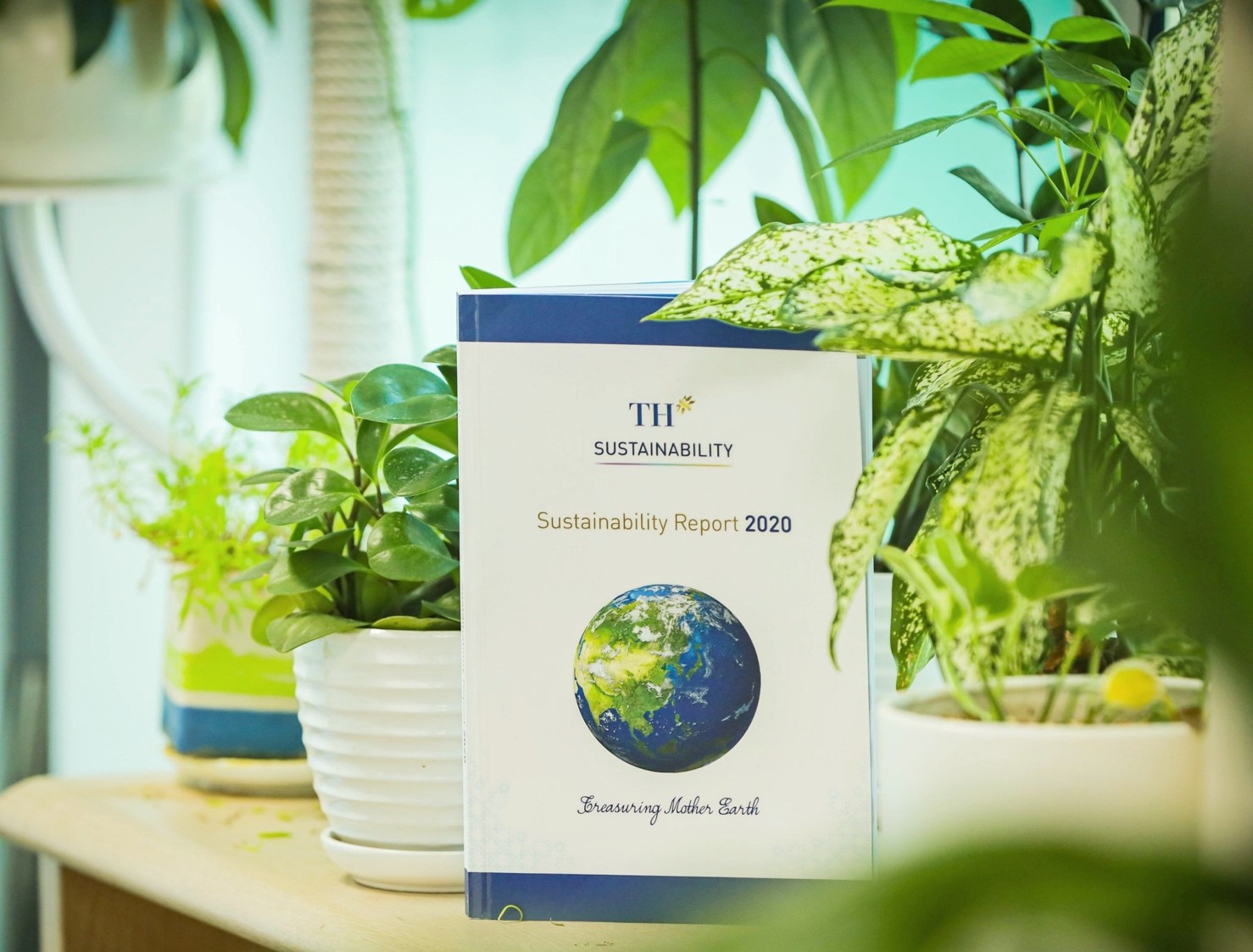 Đại diện duy nhất của Việt Nam được vinh danh Top 10 châu Á “Phụ nữ vì sự phát triển bền vững“ - ảnh 5