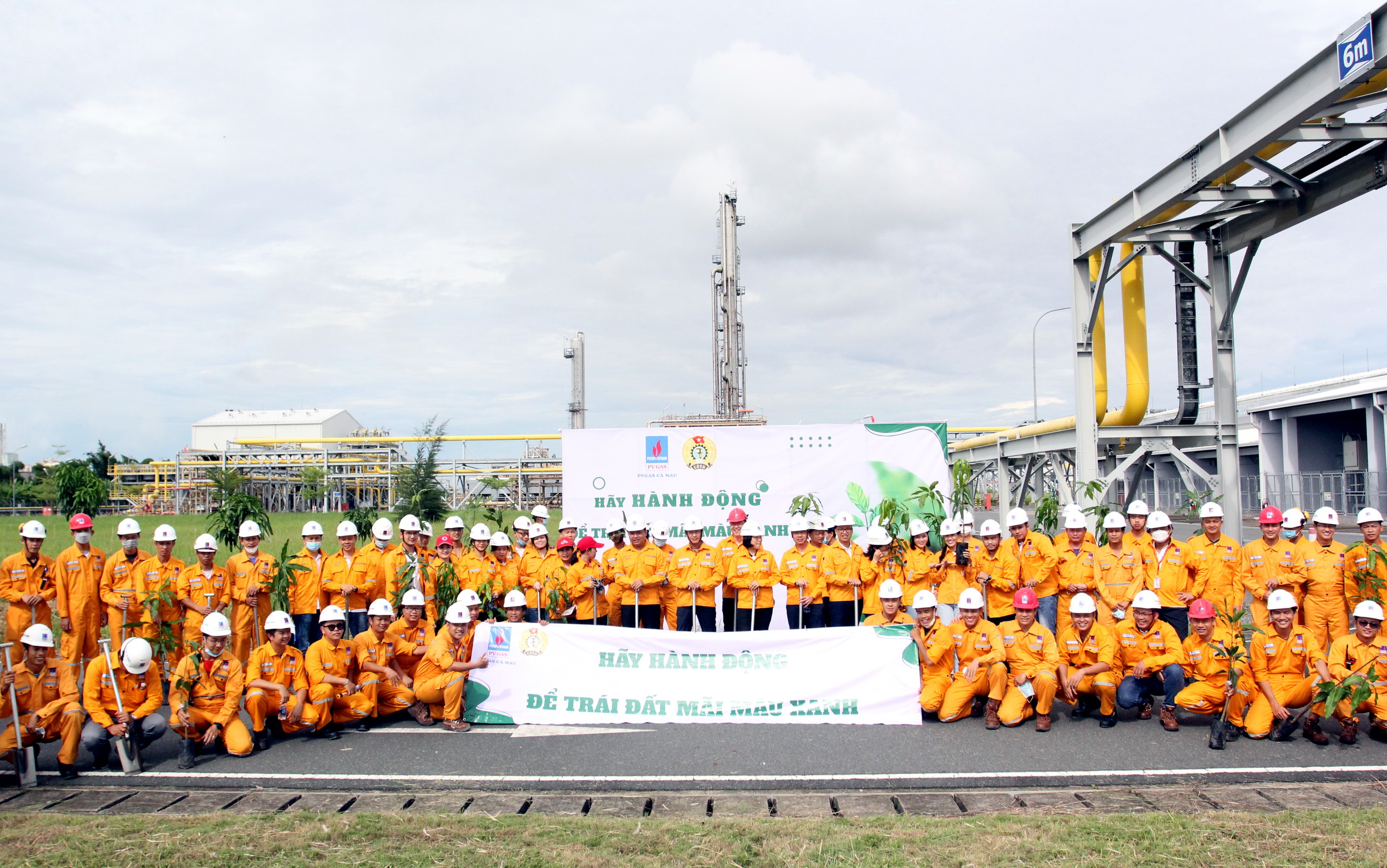 Công ty Khí Cà Mau phát động phong trào “Trồng cây trên công trình khí” - ảnh 1