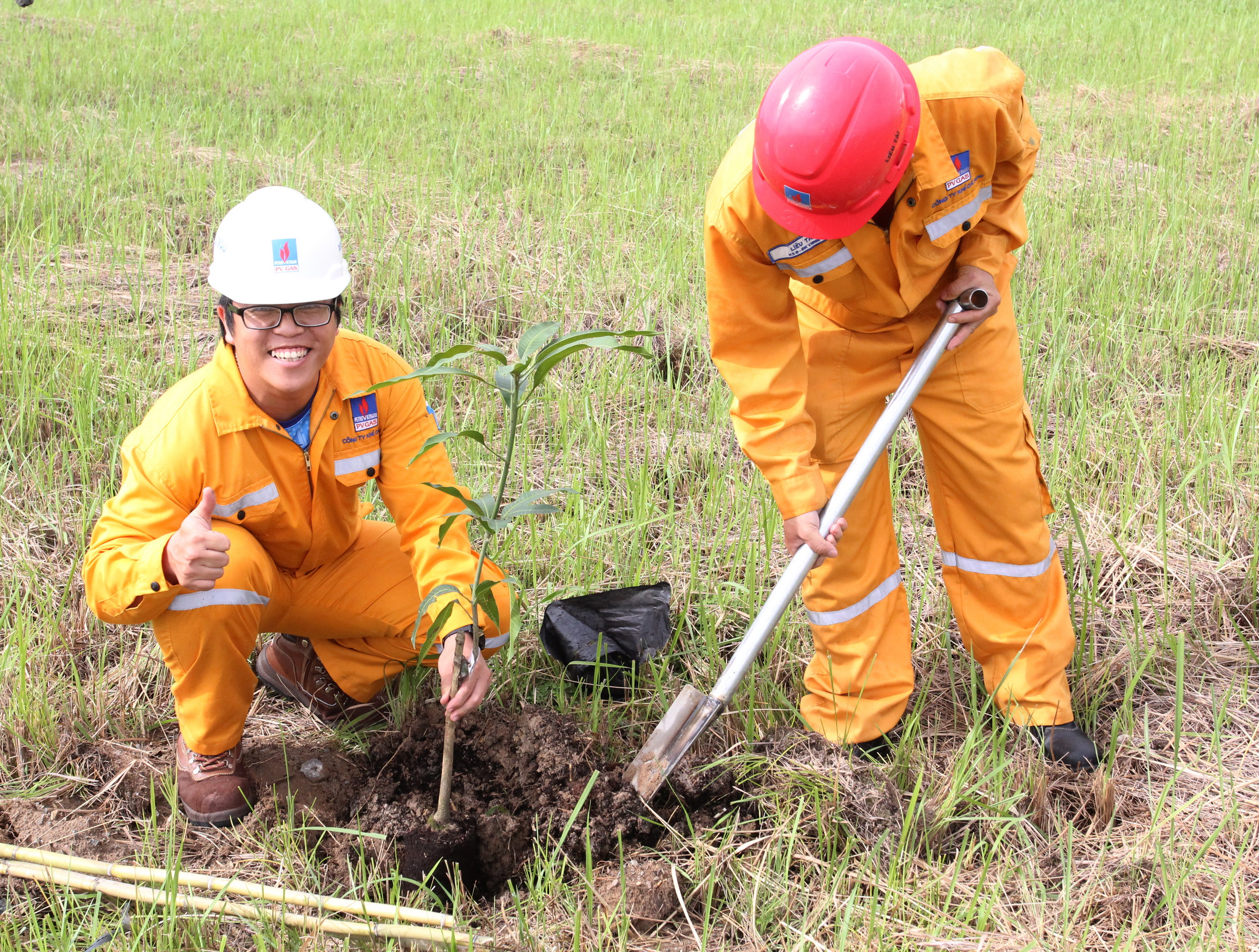 PV GAS: Đảm bảo tốt công tác An toàn - Chất lượng - Môi trường trong những tháng đầu năm 2022 - ảnh 3