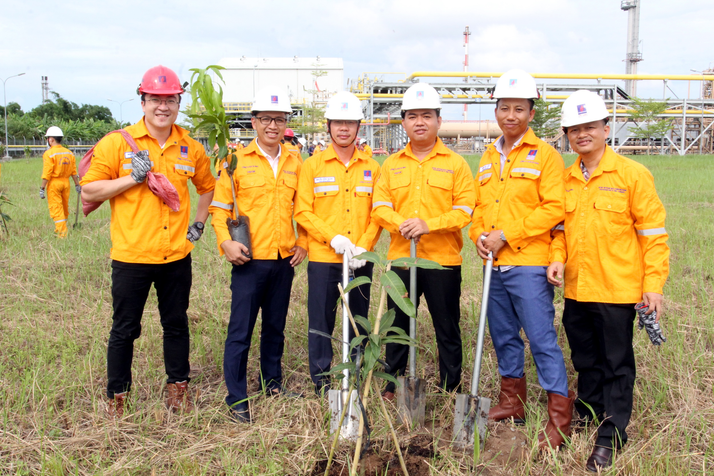 Công ty Khí Cà Mau phát động phong trào “Trồng cây trên công trình khí” - ảnh 3