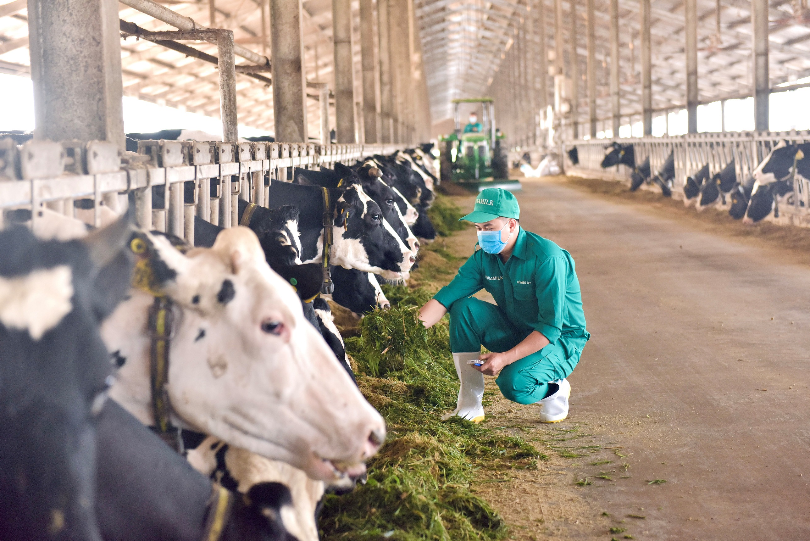 MÔ HÌNH PHÁT TRIỂN BỀN VỮNG “VINAMILK GREEN FARM” ĐƯỢC CHIA SẺ TẠI HỘI NGHỊ SỮA TOÀN CẦU - ảnh 6