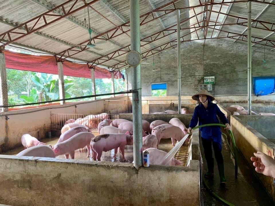 Người phụ nữ và ước mơ với thực phẩm sạch - ảnh 2