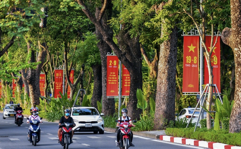 Nhịp đập mạnh mẽ nơi trái tim hồng - ảnh 1