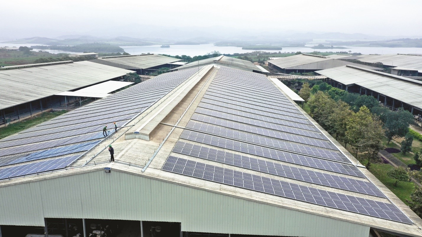 Tập đoàn TH: Thực thi ESG trong chiến lược phát triển bền vững và kinh tế tuần hoàn - ảnh 4