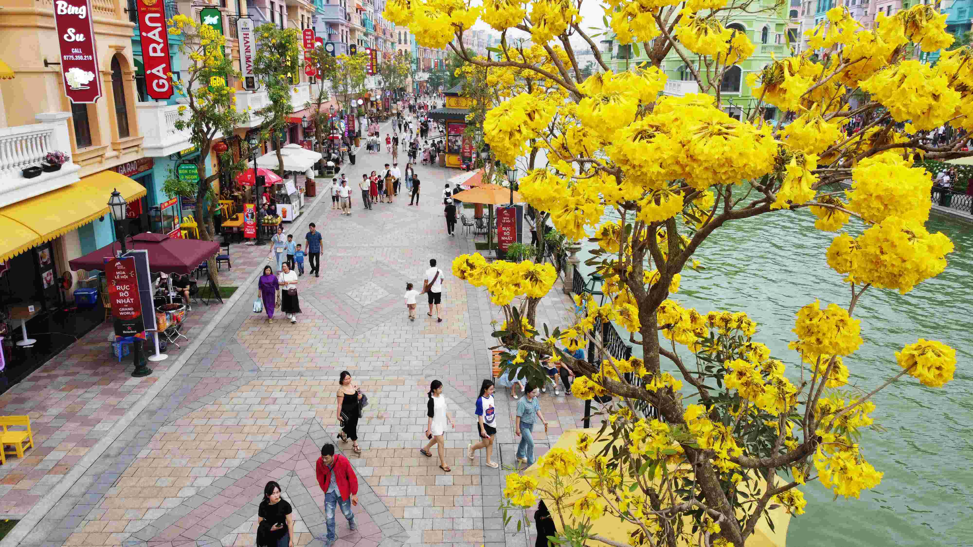 Có một Ocean City đẹp như tranh vẽ trong mùa hoa phong linh - ảnh 10
