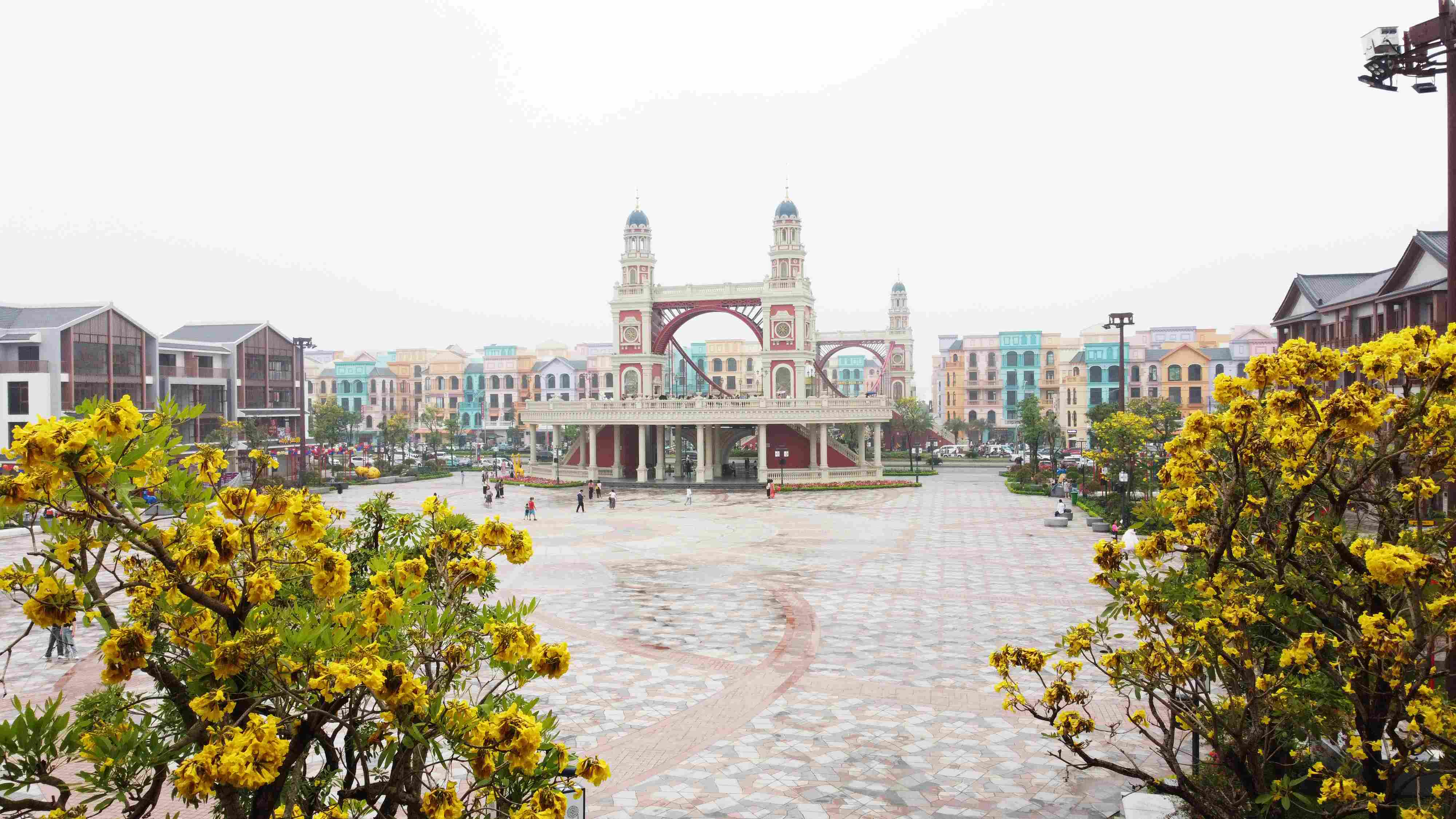 Có một Ocean City đẹp như tranh vẽ trong mùa hoa phong linh - ảnh 8
