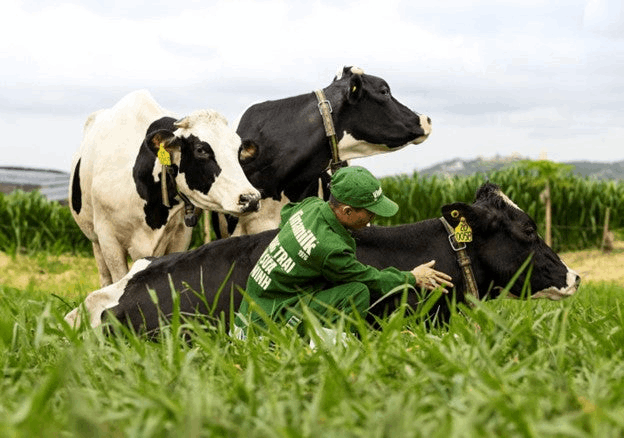 Hành trình “không tưởng” đoạt hattrick 3 giải thưởng danh giá quốc tế của sữa hút chân không - ảnh 2