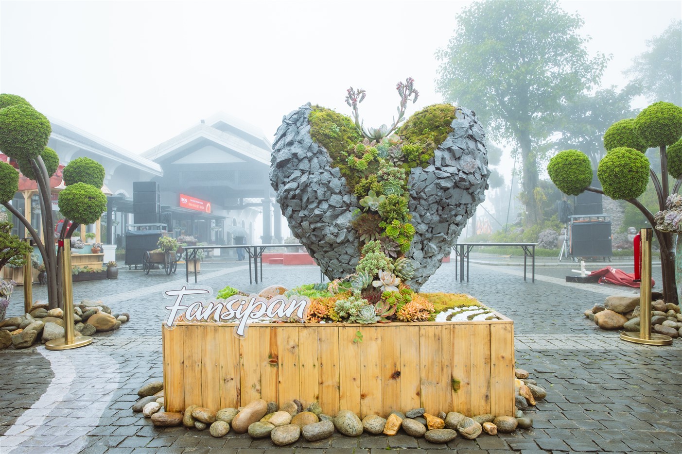 Du khách Tây thích thú săn mây, check in hoa Sen đá trên đỉnh Fansipan	 - ảnh 3