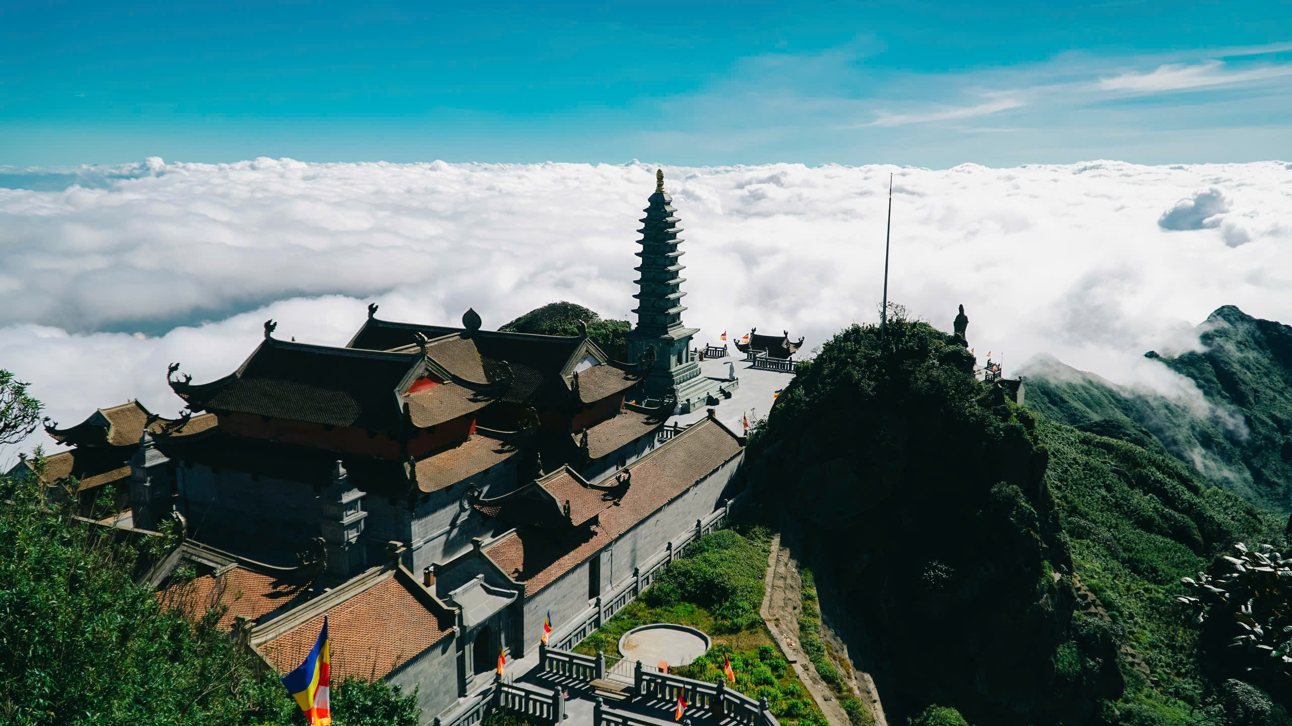 Du khách Tây thích thú săn mây, check in hoa Sen đá trên đỉnh Fansipan	 - ảnh 6