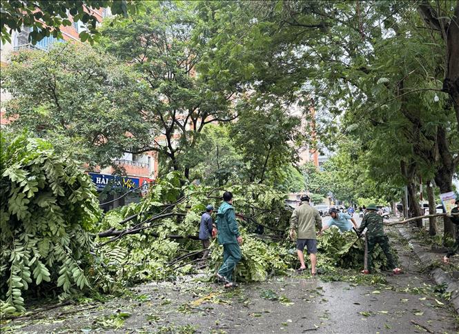 Người dân Thủ đô chung tay khắc phục hậu quả cơn bão số 3 - ảnh 2