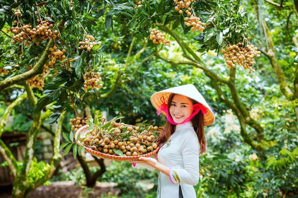 “Tình đất phù sa”- tình yêu sâu nặng với quê hương của nhà thơ Ngọc Lê Ninh - ảnh 3