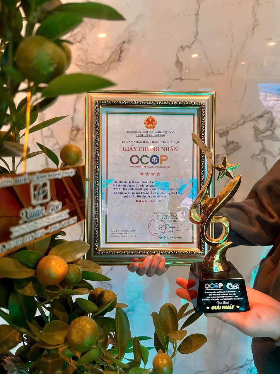 Chị Ngô Thu Trang- người con vùng quất cảnh Tứ Liên mang khát vọng xây dựng thương hiệu “Tinh hoa Quất cảnh – Di sản sống” - ảnh 5