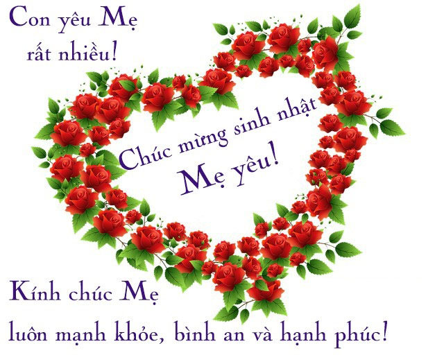 Chúc mừng sinh nhật mẹ - ảnh 1