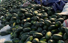 Bao giờ hết “giải cứu” nông sản? - ảnh 1