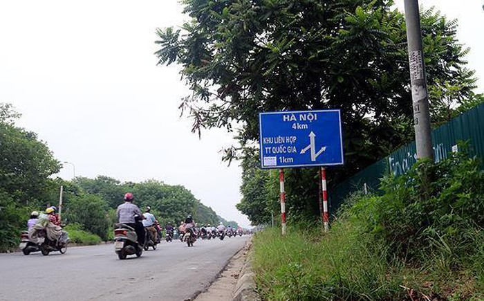 Cỏ mọc um tùm bên đường gom Đại lô Thăng Long