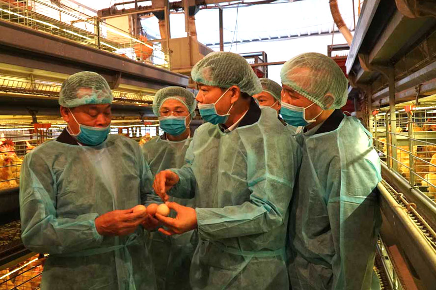 Đo&agrave;n c&ocirc;ng t&aacute;c kiểm tra tại C&ocirc;ng ty cổ phần Tập đo&agrave;n Dabaco Việt Nam.