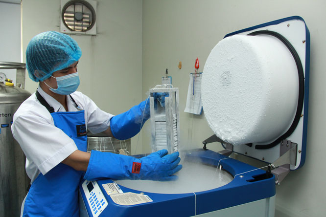 Trải qua nhiều bước xử lý, cuối cùng khối tế bào gốc máu dây rốn cộng đồng được lưu trữ và bảo quản trong ni tơ lỏng ở nhiệt độ âm 196 độ C trước khi đưa ra sử dụng.