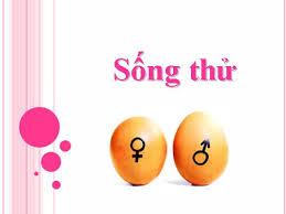 “Trinh tiết đạo đức” quan trọng hơn “trinh tiết sinh học”? - ảnh 1