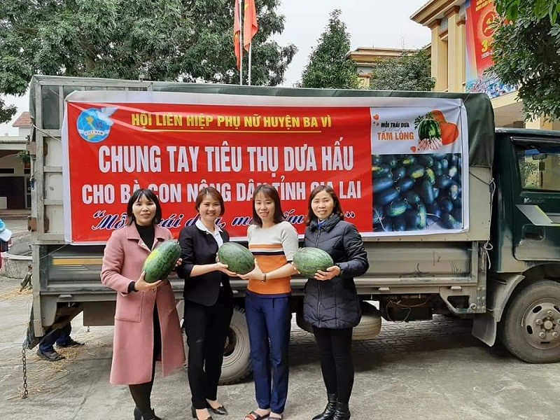 C&aacute;n bộ hội vi&ecirc;n phụ nữ huyện Ba V&igrave; chung tay ti&ecirc;u thụ dưa hấu cho b&agrave; con n&ocirc;ng d&acirc;n tỉnh Gia Lai