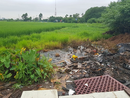 Chất thải tràn xuống ruộng hoa màu của người dân