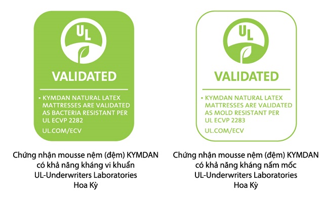 Chứng nhận tấm nệm Kim Đan c&oacute; khả năng kh&aacute;ng vi khuẩn