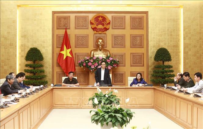 Phó Thủ tướng Chính phủ Vũ Đức Đam phát biểu chỉ đạo cuộc họp. Ảnh: Doãn Tấn/TTXVN