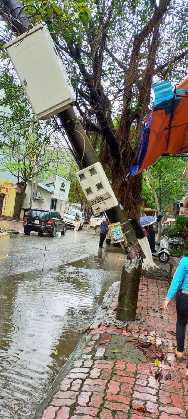 Gi&ocirc;ng lốc đ&atilde; khiến nhiều cột điện ở Cao Bằng bị hư hỏng nặng.