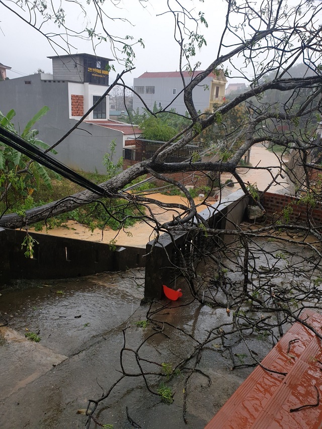 Ngành điện miền Bắc thiệt hại nặng do mưa đá, giông lốc đêm 2/3 và ngày 3/3/2020 - ảnh 3
