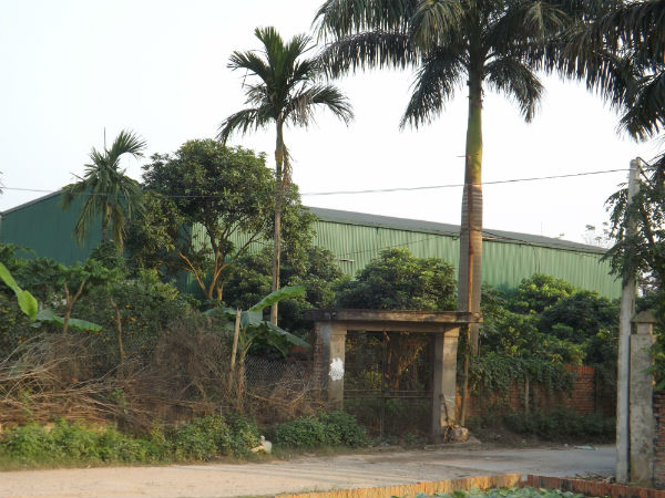 Vi phạm đất đai tại xã Song Phương, huyện Hoài Đức