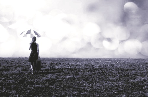 Ảnh minh họa Ảnh minh họa