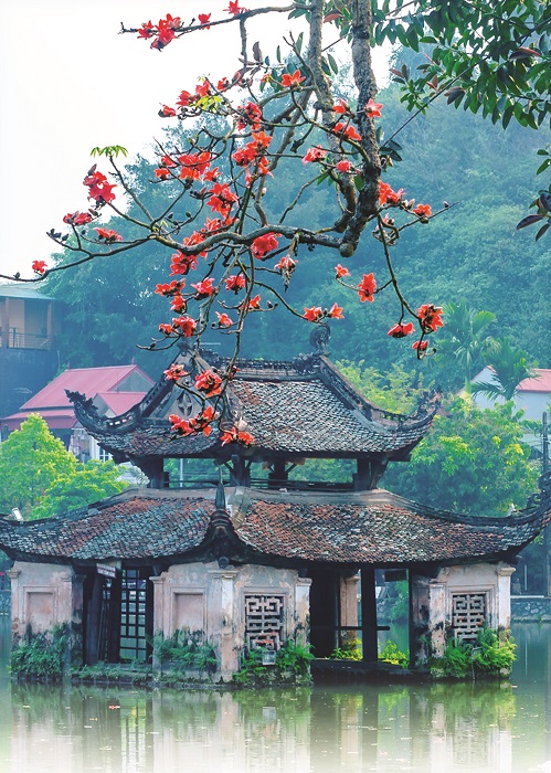 Ảnh: Internet Ảnh: Internet