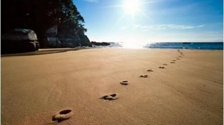 Bài học cuộc sống từ những "vết chân tròn" - ảnh 1