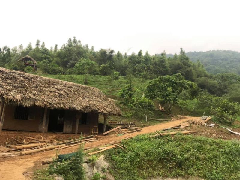 Anh thích dựng những ngôi nhà lá quê kiểng, thú vị