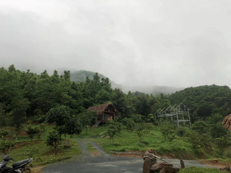 Không gian khu vườn 