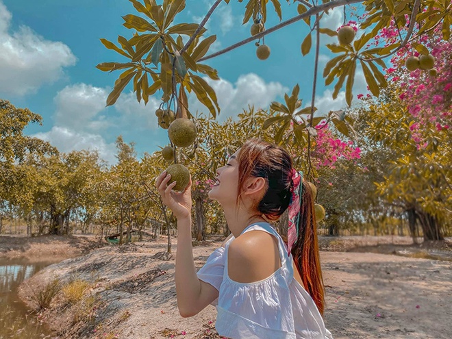 Vườn trái cây rộng lớn của nữ ca sĩ có rất nhiều loại trái cây khác nhau