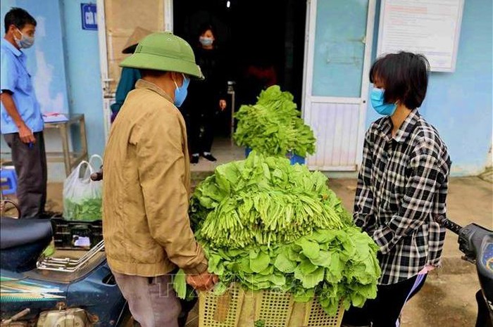 Các hợp tác xã là đối tượng ưu tiên hỗ trợ vay vốn để khắc phục hậu quả dịch bệnh Covid - 19