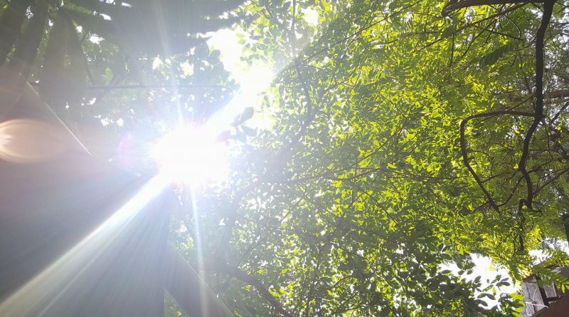 Thời tiết dịp nghỉ lễ 30/4 và 1/5: Hà Nội và cả nước đều nắng nóng - ảnh 1