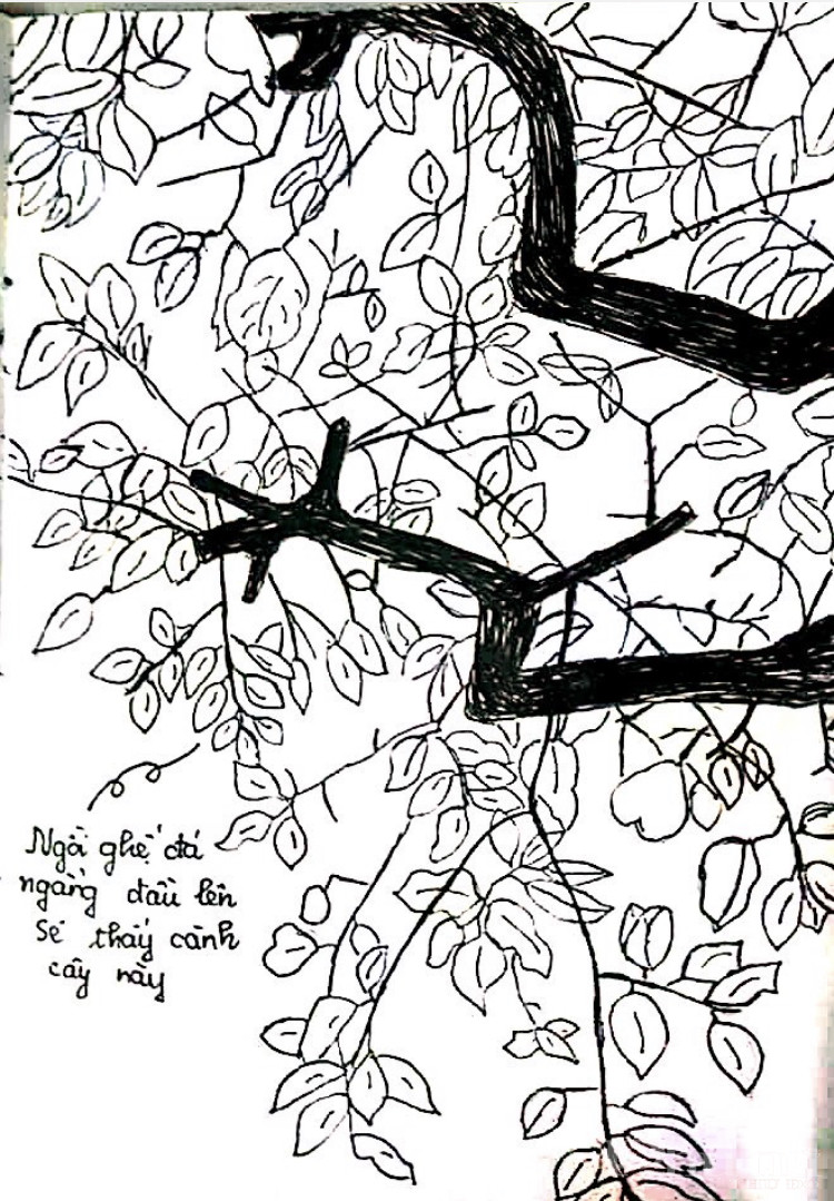 Mười bốn ngày cách ly và những ký ức không quên - ảnh 15