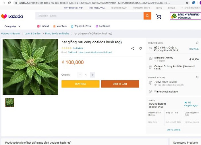 Lazada.vn cũng có shop bán hạt giống cần sa, tên tài khoản bán trùng với tên tài khoản đăng trên Youtube (ảnh chụp lúc 13h30 ngày 11-5) Lazada.vn cũng có shop bán hạt giống cần sa, tên tài khoản bán trùng với tên tài khoản đăng trên Youtube (ảnh chụp lúc 13h30 ngày 11-5)