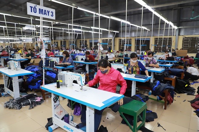 Hướng dẫn bổ sung việc tạm dừng đóng vào quỹ hưu trí và tử tuất đối với đối tượng gặp khó khăn do dịch Covid-19 - ảnh 1