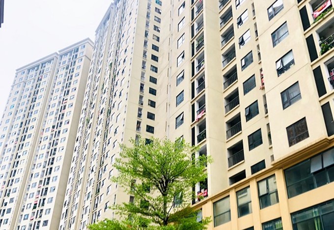 Kiểm tra việc quản lý nhà chung cư - ảnh 1