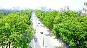 Ảnh minh họa. Ảnh minh họa.
